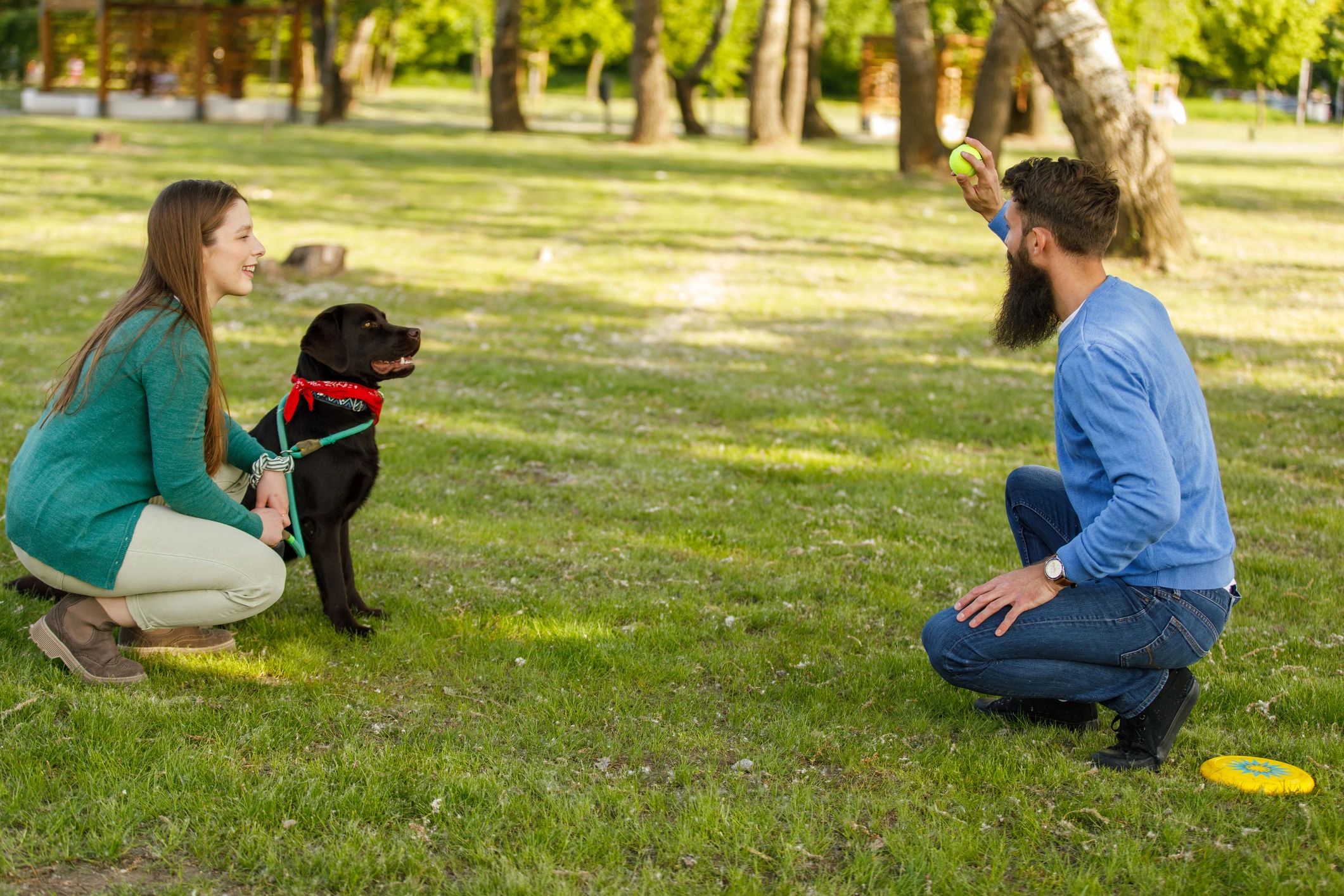 Couple playing catch with their dog in a park