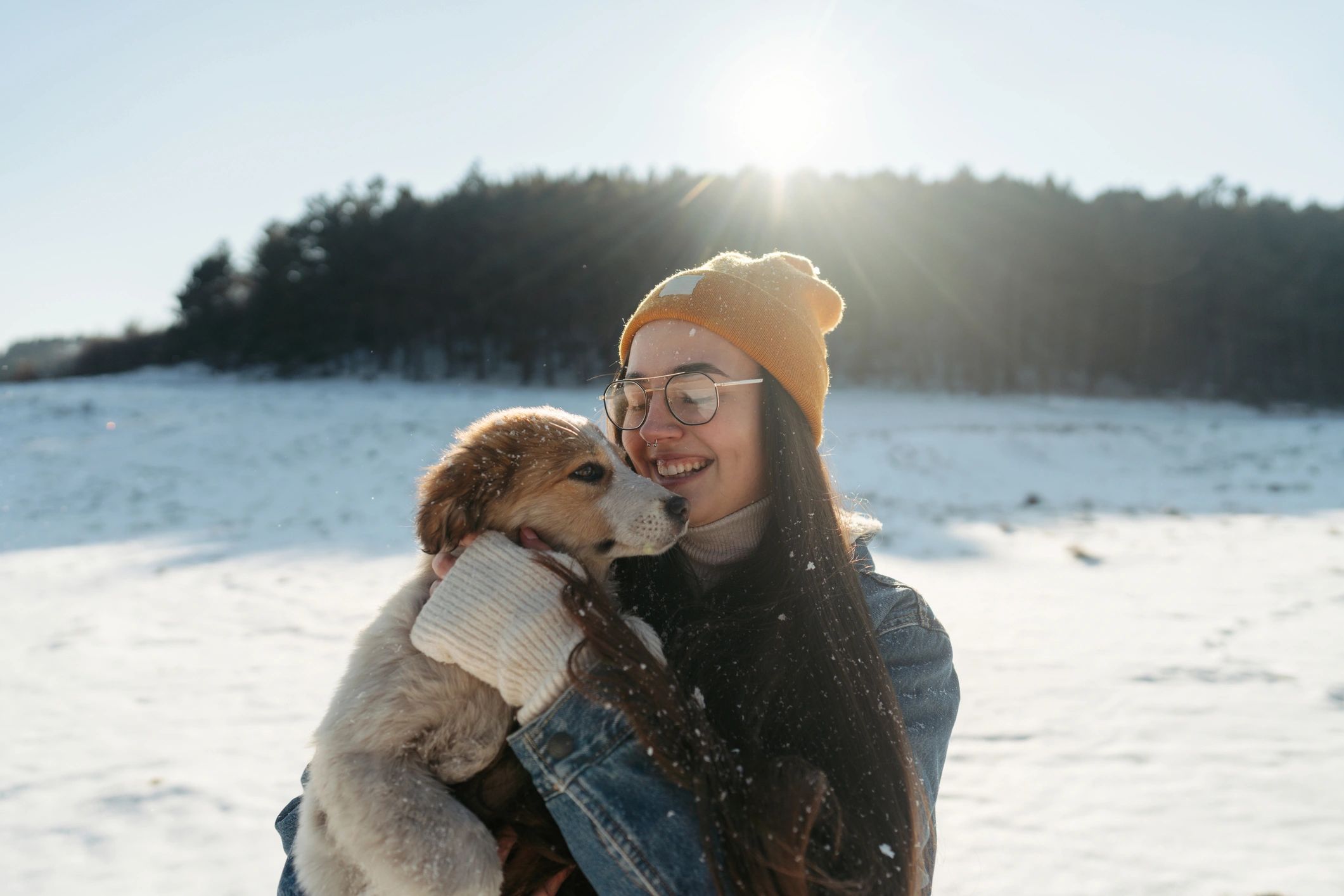 Dog and owner enjoying time together outdoors