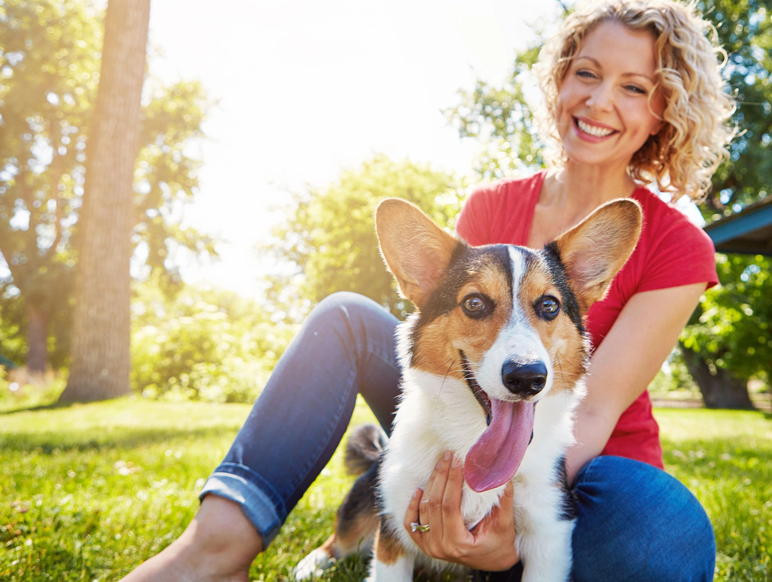 Dog owner bonding with their dog outdoors