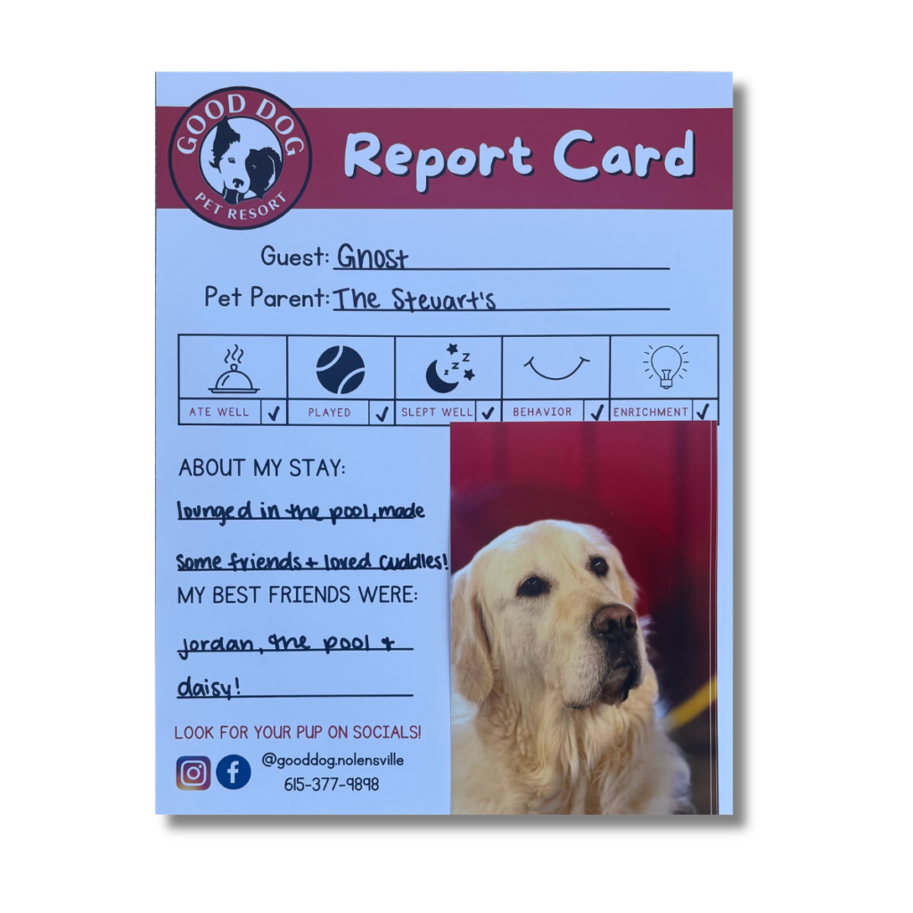 Daycare Dog Report Card
